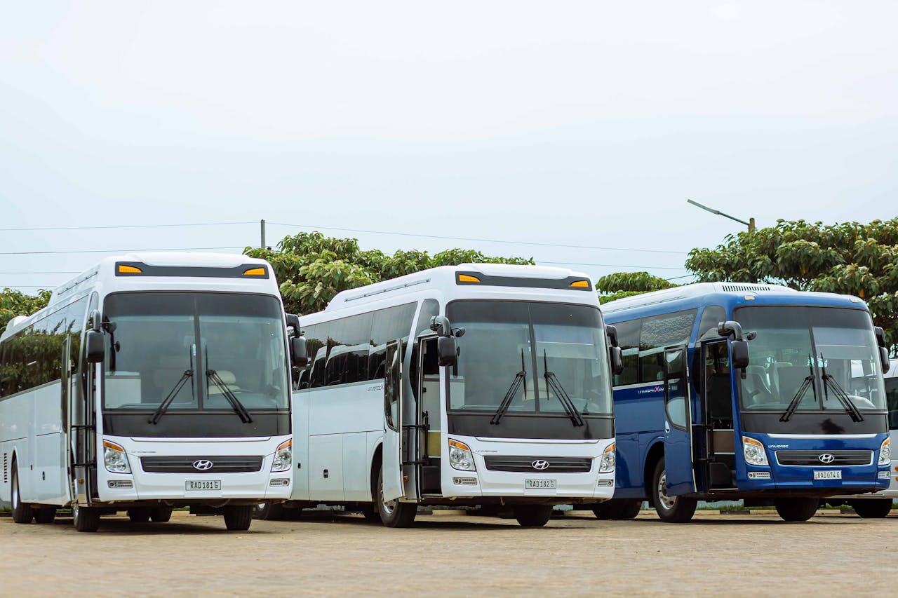 Three Hyundai buses parked in an outdoor parking lot on a clear day.