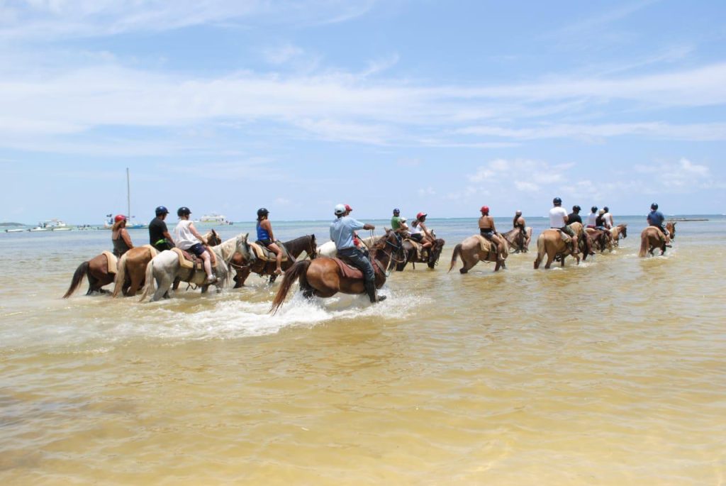 top canatransfers tour (3)